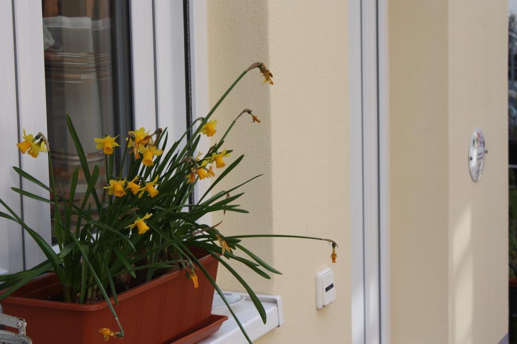 Ferienwohnung Familie Westermann Kapellen-Drusweiler ภายนอก รูปภาพ